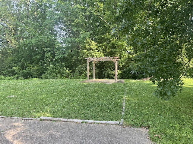 117 Sunset Dr, Waverly, TN 37185 - photo 5