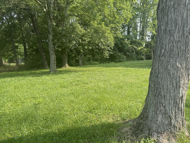 117 Sunset Dr, Waverly, TN 37185 - photo 8