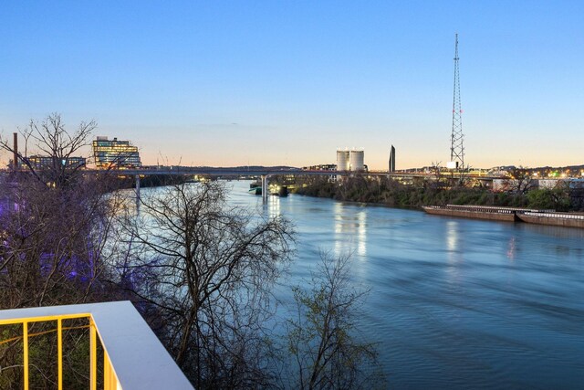 700 1st Ave N Unit 307, Nashville, TN 37201 - photo 38