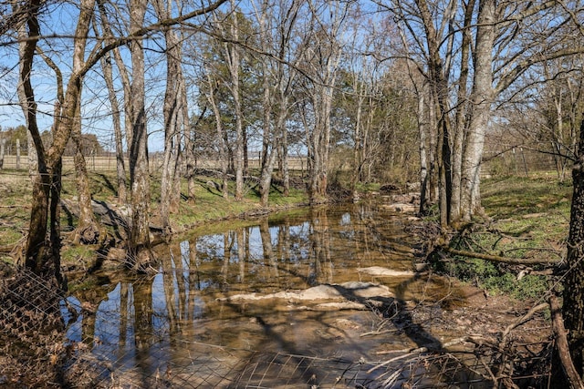 4974 Smiley Rd, Chapel Hill, TN 37034 - water view