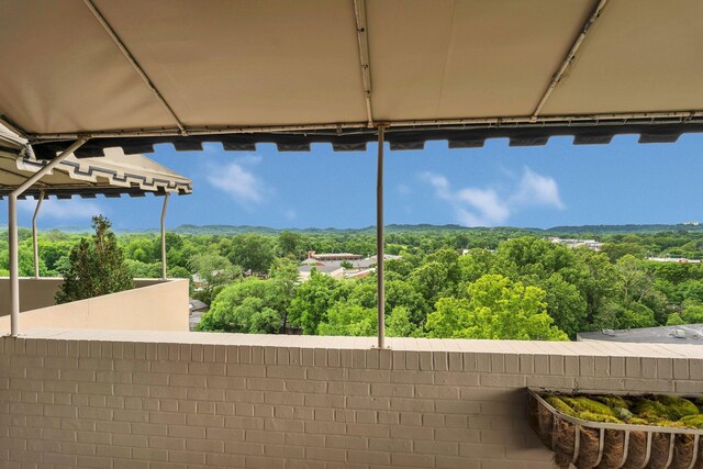 105 Leake Ave Unit 1, Nashville, TN 37205 - photo 33