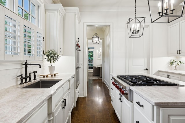 1616 Championship Blvd, Franklin, TN 37064 - kitchen with a sink, dark wood-style flooring, tasteful backsplash, plenty of natural light, and crown molding