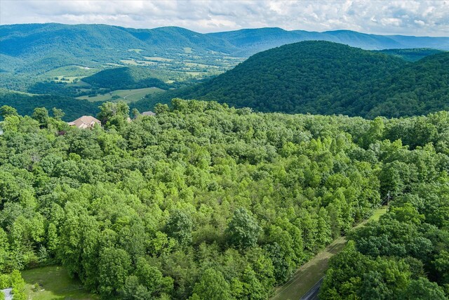 0 Browns Gap Rd, Crossville, TN 38555 - photo 5