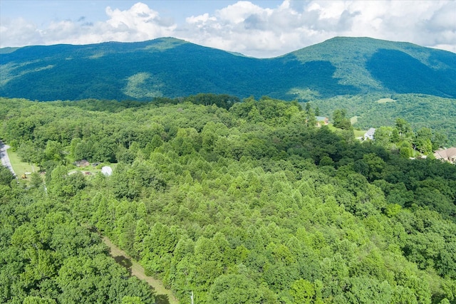 0 Browns Gap Rd, Crossville, TN 38555 - photo 4