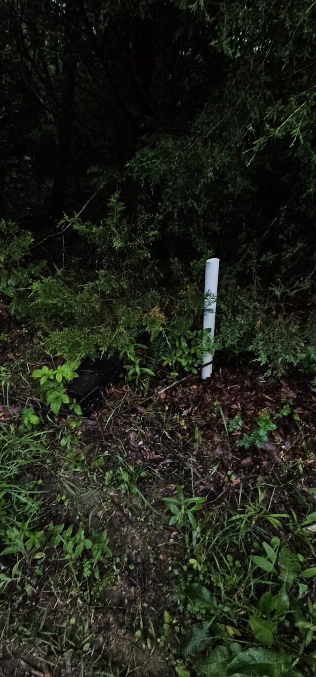 0 Browns Gap Rd, Crossville, TN 38555 - photo 10