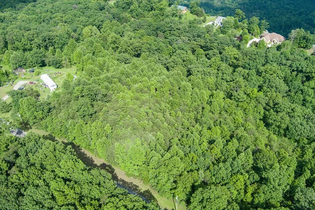 0 Browns Gap Rd, Crossville, TN 38555 - photo 8