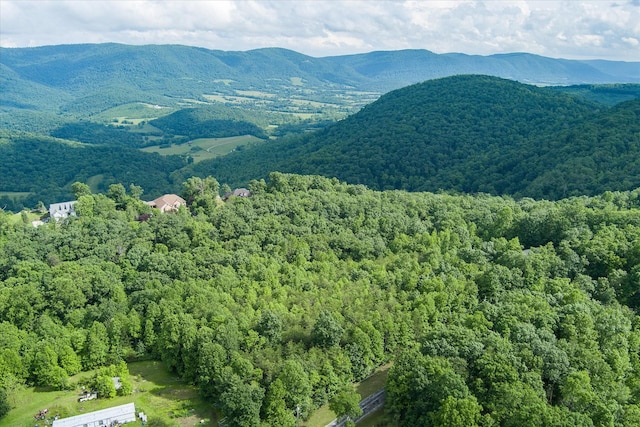 0 Browns Gap Rd, Crossville, TN 38555 - photo 6