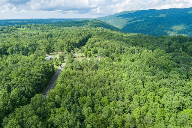 0 Browns Gap Rd, Crossville, TN 38555 - photo 3