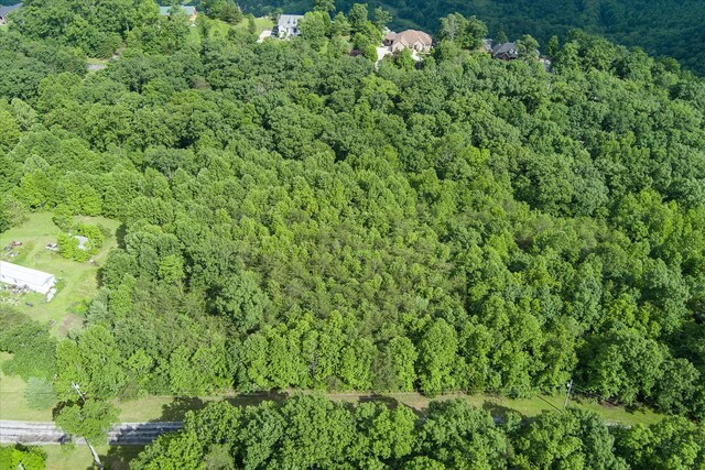 0 Browns Gap Rd, Crossville, TN 38555 - photo 7