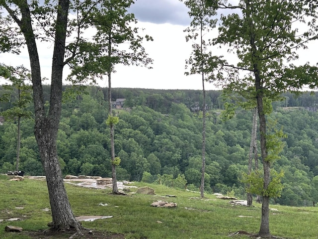 350 Crockett Loop, Jasper, TN 37347