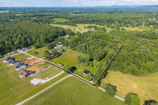 1022 Arch Cope Rd, Morrison, TN 37357