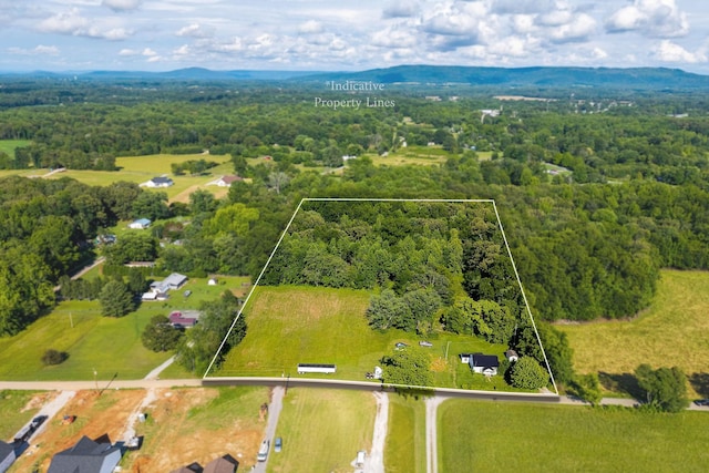 1022 Arch Cope Rd, Morrison, TN 37357