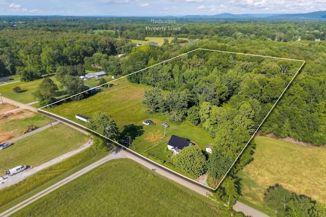1022 Arch Cope Rd, Morrison, TN 37357