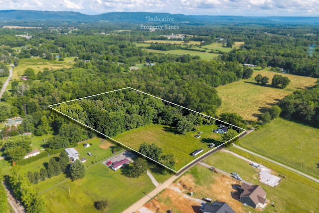 1022 Arch Cope Rd, Morrison, TN 37357
