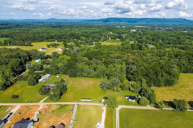 1022 Arch Cope Rd, Morrison, TN 37357