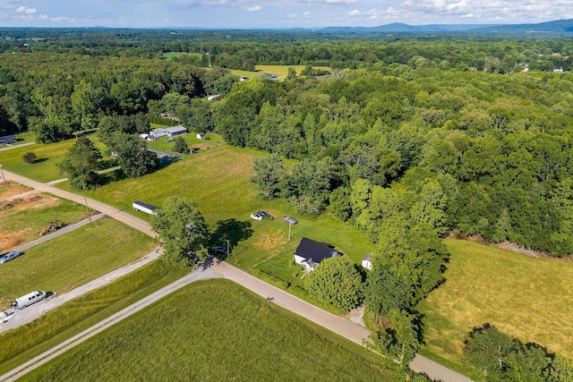 1022 Arch Cope Rd, Morrison, TN 37357