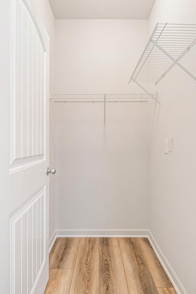 913 Battleview Pl, Murfreesboro, TN 37128 - walk in closet with light wood finished floors