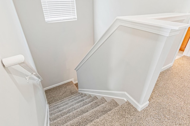913 Battleview Pl, Murfreesboro, TN 37128 - stairway with carpet flooring and baseboards