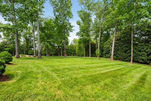 4410 Truxton Pl, Nashville, TN 37205 - photo 37