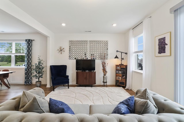 425 Multrees Pl, Smyrna, TN 37167 - living room with plenty of natural light, wood finished floors, and recessed lighting