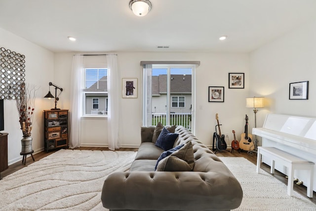 425 Multrees Pl, Smyrna, TN 37167 - living area with wood finished floors and recessed lighting