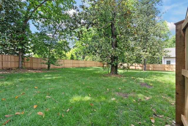 609 Bowling Ave, Nashville, TN 37215 - view of yard