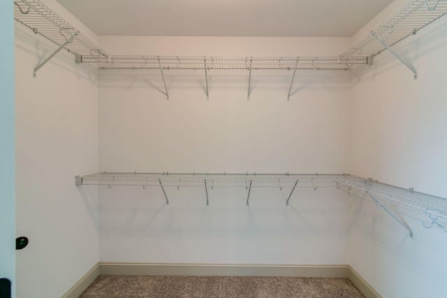 1146 Garrettsburg Rd, Clarksville, TN 37042 - spacious closet featuring carpet floors