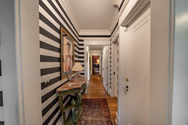 1702 Stokes Ln, Nashville, TN 37215 - hall featuring crown molding and wood finished floors