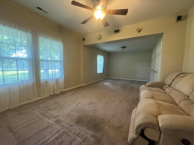 2207 Wolfe Rd, White Bluff, TN 37187 - photo 35
