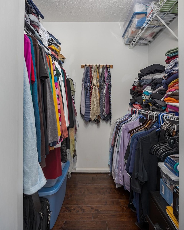 1077 Kathryn Rd, Mount Juliet, TN 37122 - walk in closet featuring hardwood / wood-style flooring