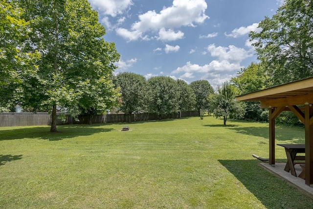 1077 Kathryn Rd, Mount Juliet, TN 37122 - view of yard