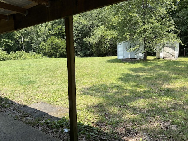 117 Rob Rd, Clarksville, TN 37040 - view of green lawn