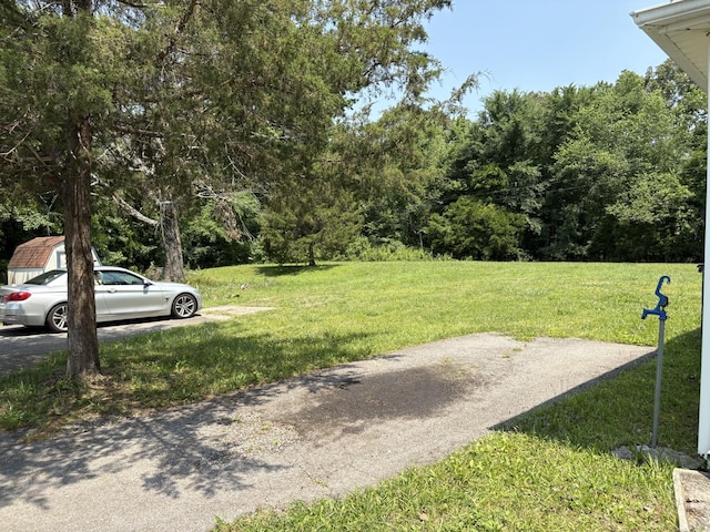 117 Rob Rd, Clarksville, TN 37040 - view of green lawn
