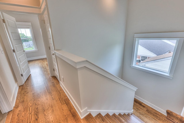 3104 Southlake Dr, Nashville, TN 37211 - hall featuring light wood-style flooring and baseboards