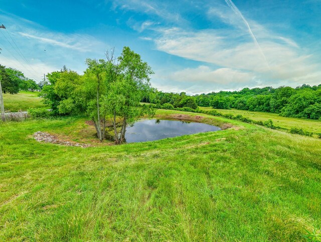 4861 Bethesda Rd, Thompsons Station, TN 37179 - photo 57