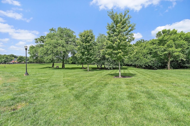 503 Hollyhock Way, Franklin, TN 37064 - view of grassy yard