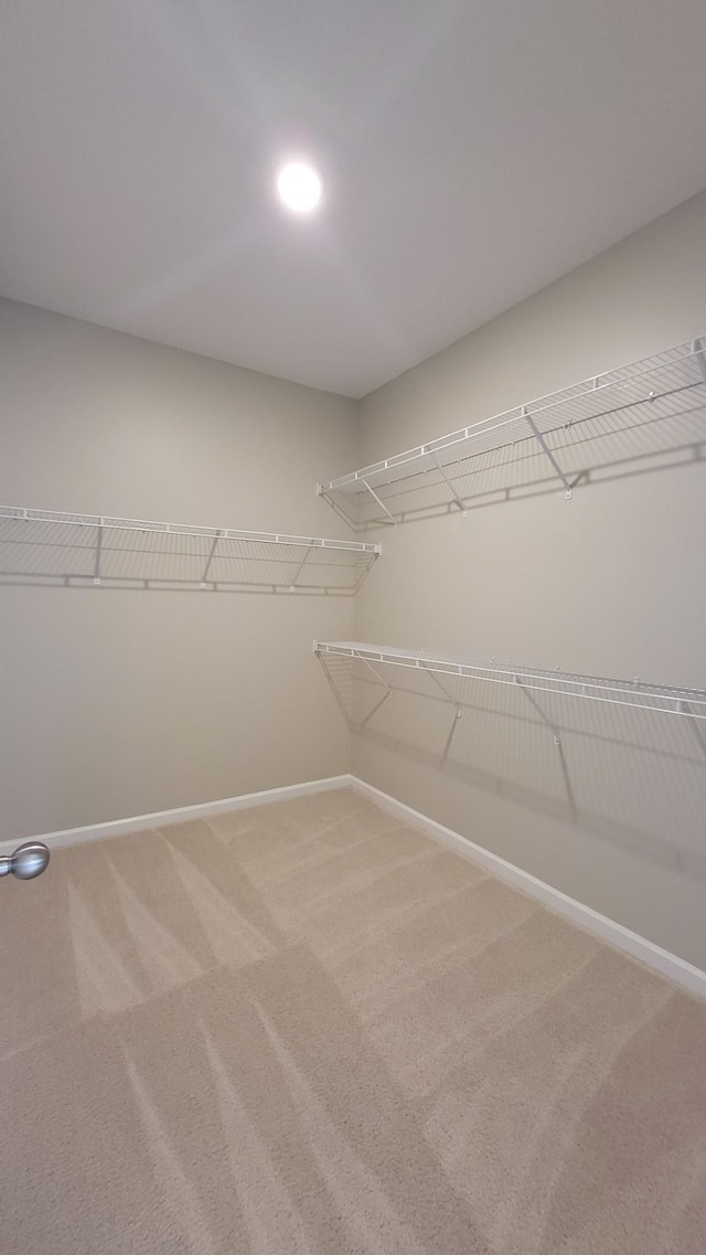 1060 Brayden Dr, Fairview, TN 37062 - spacious closet featuring light carpet