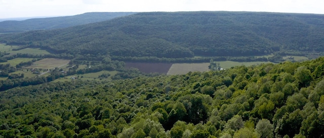 356 Vista Vue Trl, Pelham, TN 37366 - view of mountain background featuring a forest