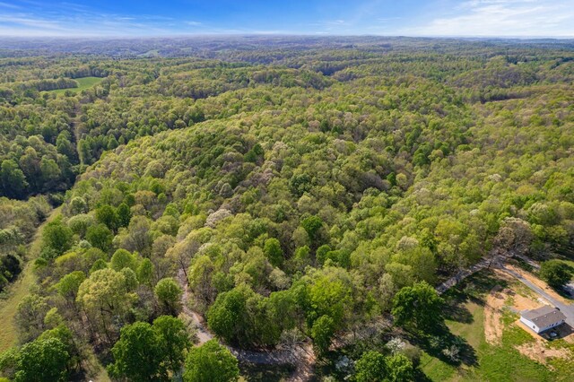 1555 Dog Hollow Rd, Lynnville, TN 38472 - photo 8