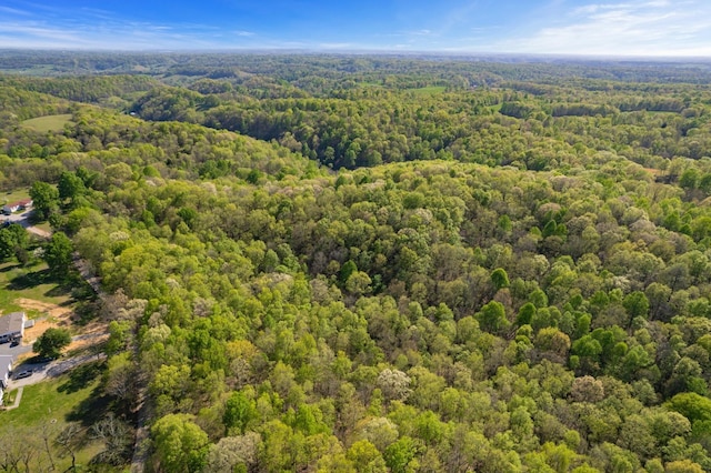 1555 Dog Hollow Rd, Lynnville, TN 38472 - photo 9