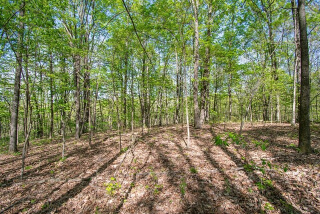 1555 Dog Hollow Rd, Lynnville, TN 38472 - photo 21