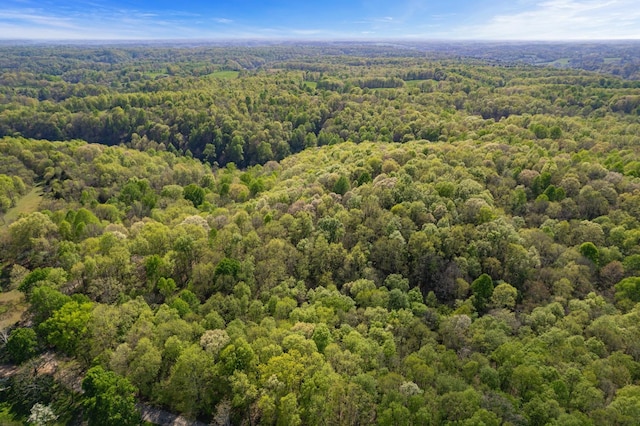 1555 Dog Hollow Rd, Lynnville, TN 38472 - photo 2