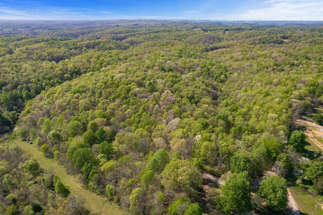 1555 Dog Hollow Rd, Lynnville, TN 38472 - photo 4