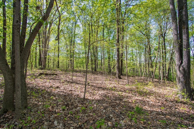 1555 Dog Hollow Rd, Lynnville, TN 38472 - photo 23