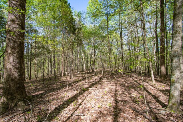 1555 Dog Hollow Rd, Lynnville, TN 38472 - photo 13