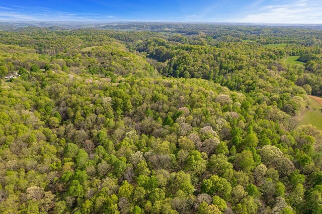 1555 Dog Hollow Rd, Lynnville, TN 38472 - photo 7
