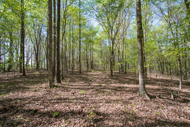 1555 Dog Hollow Rd, Lynnville, TN 38472 - photo 3