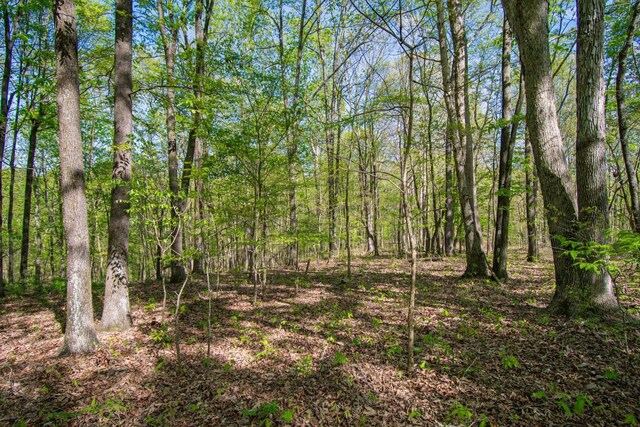 1555 Dog Hollow Rd, Lynnville, TN 38472 - photo 22