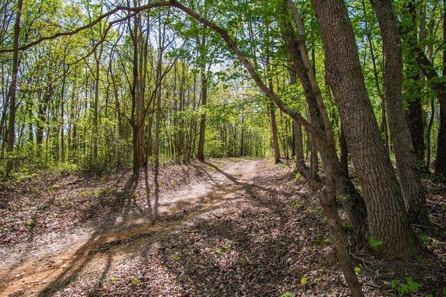 1555 Dog Hollow Rd, Lynnville, TN 38472 - photo 6