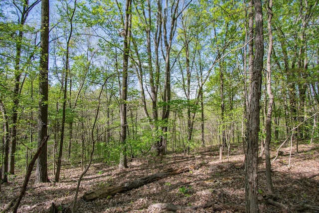 1555 Dog Hollow Rd, Lynnville, TN 38472 - photo 20